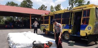 Tak Berdokumen, 2.450 Pasang Sepatu asal Malaysia Disita