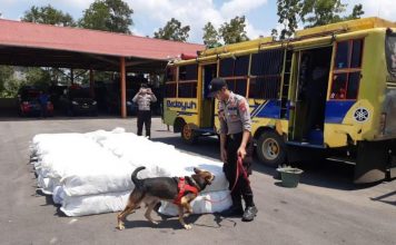 Tak Berdokumen, 2.450 Pasang Sepatu asal Malaysia Disita