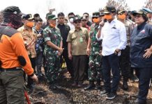 Tegas, Wiranto Minta Pembakar Lahan di Kalteng Ditangkap