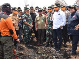 Tegas, Wiranto Minta Pembakar Lahan di Kalteng Ditangkap