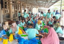 PLN Kalbar Bagikan 1.200 Kantong Daging Kurban