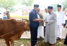 Pemkab Kubu Raya Berhasil Kumpulkan 35 Hewan Kurban