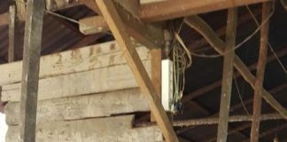 Dinas Peternakan KKR Periksa Hewan Kurban