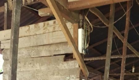 Dinas Peternakan KKR Periksa Hewan Kurban