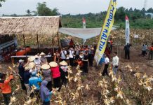 Asap Cair Solusi Tanggulangi Karhutla