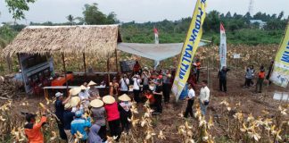 Asap Cair Solusi Tanggulangi Karhutla