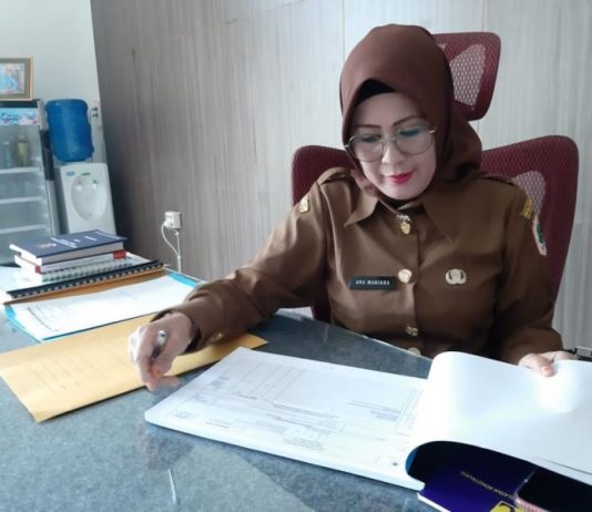 Nilai SAKIP Dinas PU Kapuas Hulu Meningkat