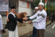 Pemkot Pontianak Kurban 19 Ekor Sapi dan 3 Ekor Kambing