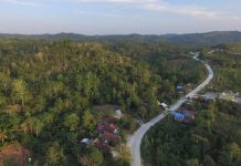 Kepemilikan Hashim dan Luhut Dibantah