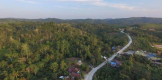 Kepemilikan Hashim dan Luhut Dibantah