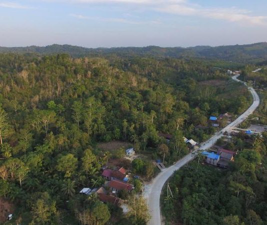 Kepemilikan Hashim dan Luhut Dibantah