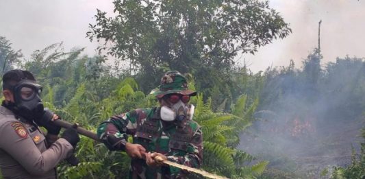 Dua Hektar Lahan Kembali Terbakar