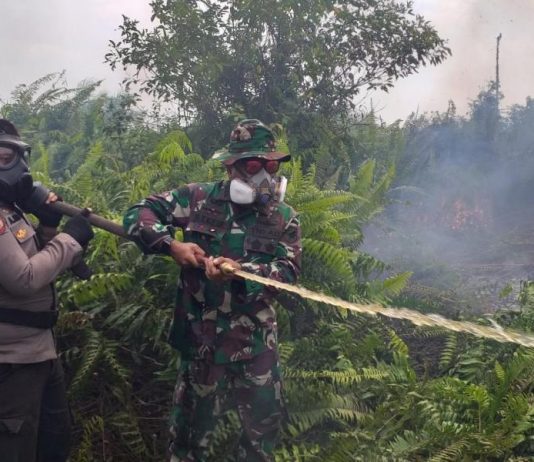 Dua Hektar Lahan Kembali Terbakar