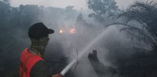 Karhutla Ancaman Permanen