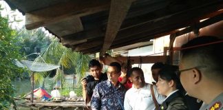 Wali Kota Seriusi Buaya Naik Tangga