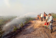 Hotspot Meluas, Stop Bakar Lahan