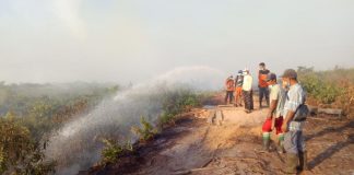Hotspot Meluas, Stop Bakar Lahan
