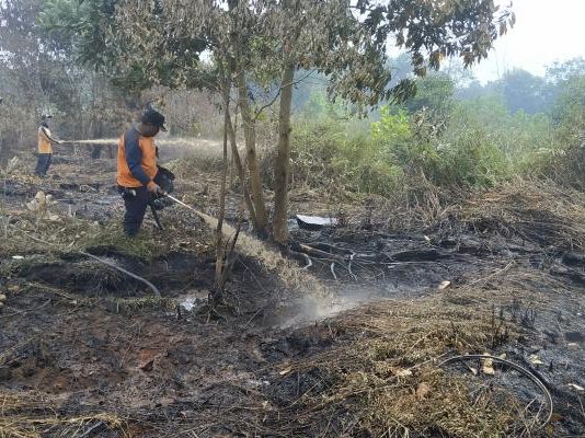 Berharap Turun Hujan