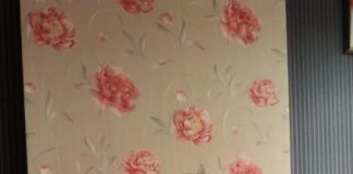 Sekitar 100 Orang yang Pensiun Tiap Tahun, Sanggau Kekurangan 1000 Lebih Guru