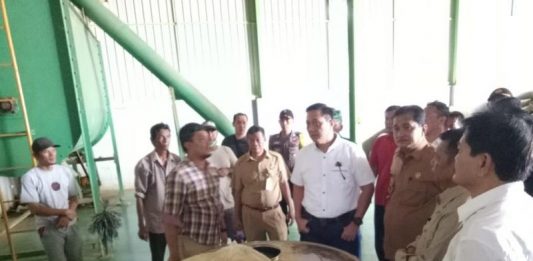 Tim Kemenko Polhukam Tinjau Kebun dan Pabrik Kratom di Kapuas Hulu