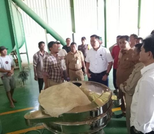 Tim Kemenko Polhukam Tinjau Kebun dan Pabrik Kratom di Kapuas Hulu