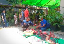 Saling Berbagi, Warga Non Muslim di Sekadau Juga Dapat Daging Kurban