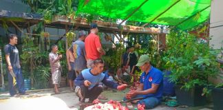 Saling Berbagi, Warga Non Muslim di Sekadau Juga Dapat Daging Kurban