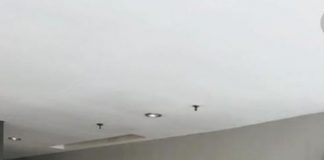 Karhutla di Ajang Miss Earth Indonesia, Vote Cinthia di Instagram