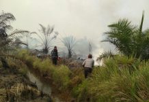 Midji Ancam Copot Kepala Dinas Terkait