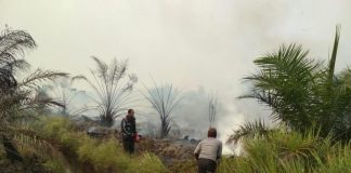 Midji Ancam Copot Kepala Dinas Terkait