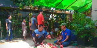 Warga Sultan Anom Patungan Berkurban