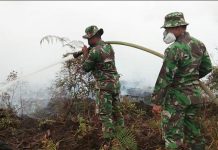 Mempawah Terancam Darurat Kabut Asap