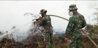 Mempawah Terancam Darurat Kabut Asap