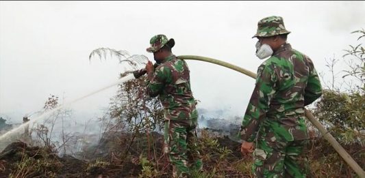 Mempawah Terancam Darurat Kabut Asap