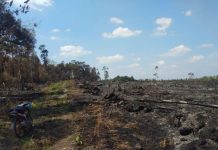 605 Titik Api di Kalbar, Udara Pontianak pun Sangat Buruk