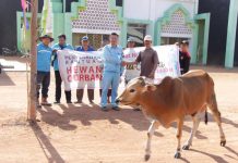 PT WHW-AR Sebar Hewan Kurban di Kendawangan