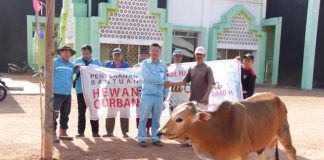 PT WHW-AR Sebar Hewan Kurban di Kendawangan