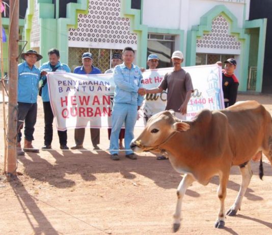PT WHW-AR Sebar Hewan Kurban di Kendawangan