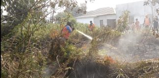 TSK Karhutla di Kalbar 21 Orang