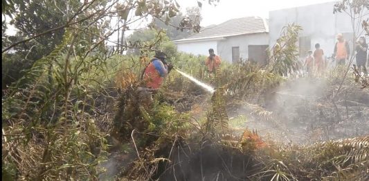 TSK Karhutla di Kalbar 21 Orang