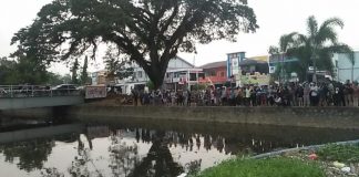Buaya Nongol Lagi di Sungai Singkawang