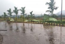 Puting Beliung Terjang Pabrik Sawit