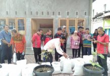 Belajar Rekayasa Genetik Varietas Padi Palawakng ke Sumatra Barat