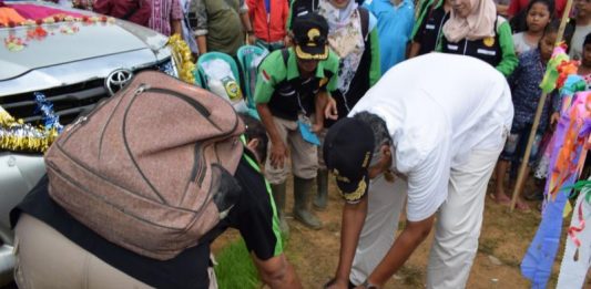 Sintang Kini Miliki Merek Dagang Beras Lokal