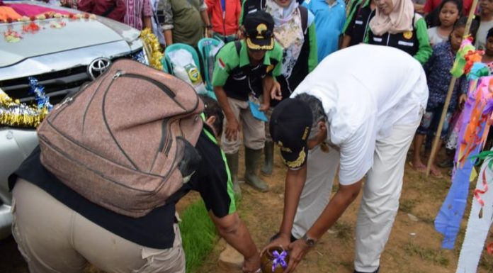 Sintang Kini Miliki Merek Dagang Beras Lokal