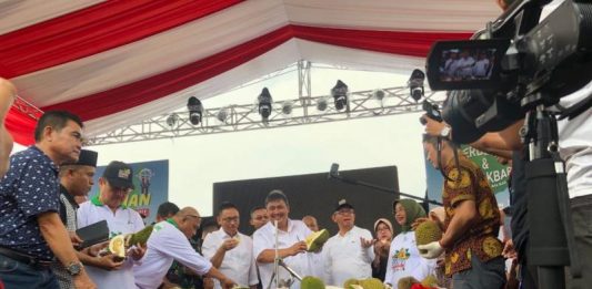 Kalbar Sentra Durian Nasional dengan Varietas Unggul