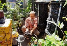 Double Untung Gara-gara Ciptakan Reaktor Cacing