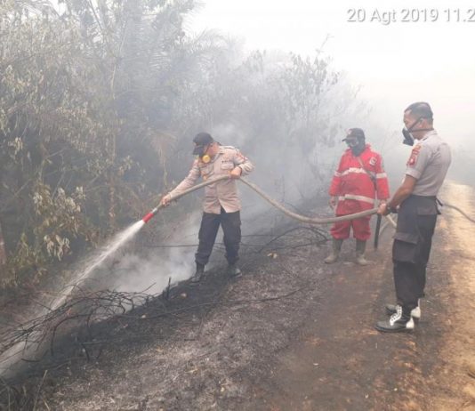 Karhutla Pelang Membara, Selebihnya Dibereskan Hujan