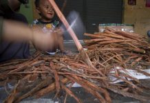 Banyak yang Mengonsumsi Bajakah, Efeknya Beda-Beda