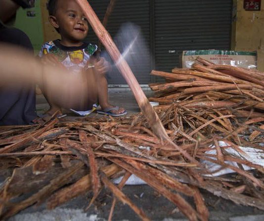 Banyak yang Mengonsumsi Bajakah, Efeknya Beda-Beda